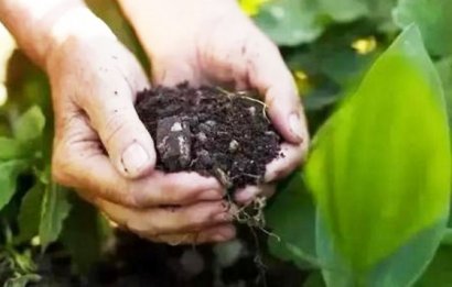 羊糞堆肥發(fā)酵技術(shù)要點