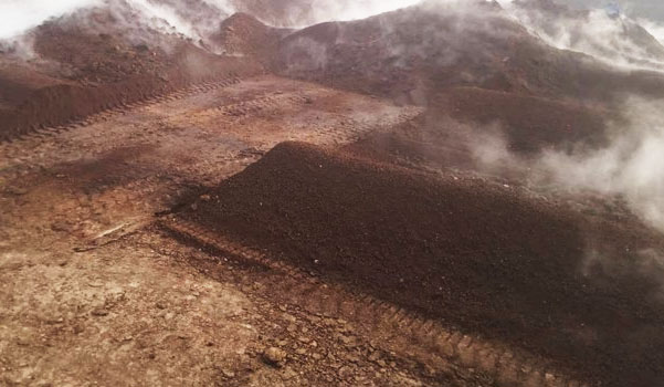 羊糞發酵過程分為哪幾個階段？