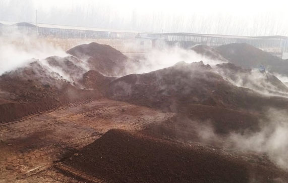 牛糞發酵過程分為哪幾個階段？