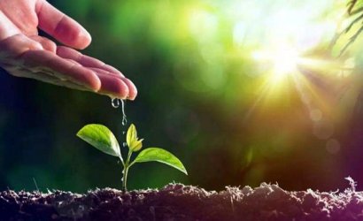 雞糞發(fā)酵有機(jī)肥有哪些用途