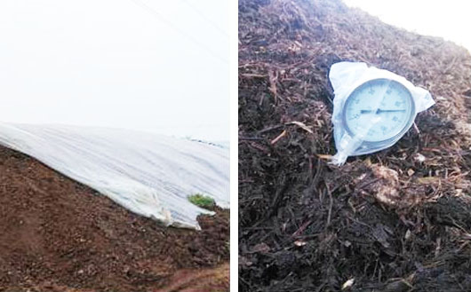 有機(jī)肥發(fā)酵劑種類如何選擇？