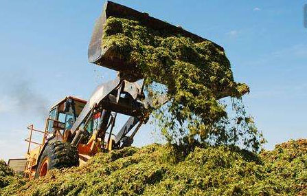 利用腐熟劑發(fā)酵處理農(nóng)業(yè)廢棄物的方法