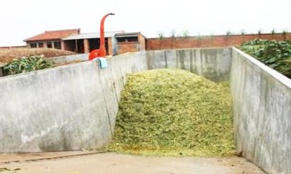 秸稈堆肥發(fā)酵具體有哪些作用呢？