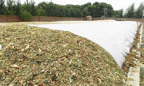 玉米和小麥堆肥發酵技術區別有哪些