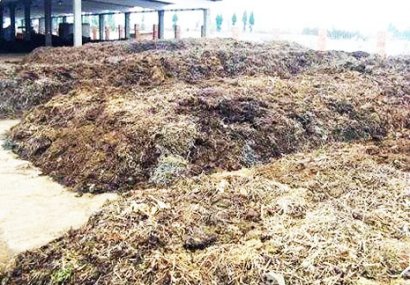 堆肥發酵工藝流程