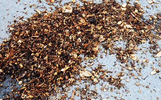 中藥渣如何發酵做有機肥料