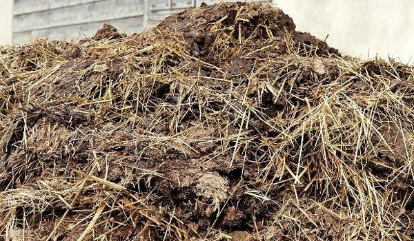 中藥渣如何發酵做有機肥料