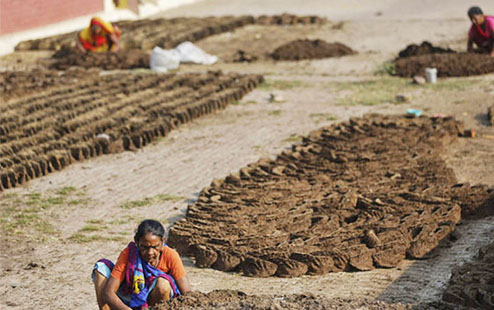 牛糞有機肥腐熟的原因及方法