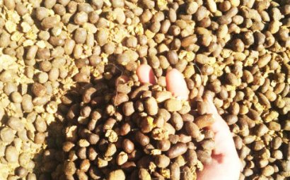 羊糞有機(jī)肥如何發(fā)酵