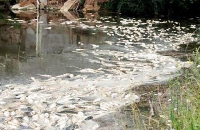 水產養殖中水質污染的原因有哪些？