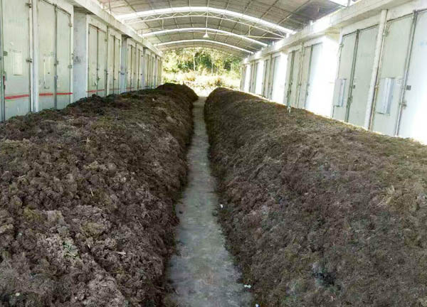 畜禽糞便發(fā)酵有機肥常見問題及解決方法