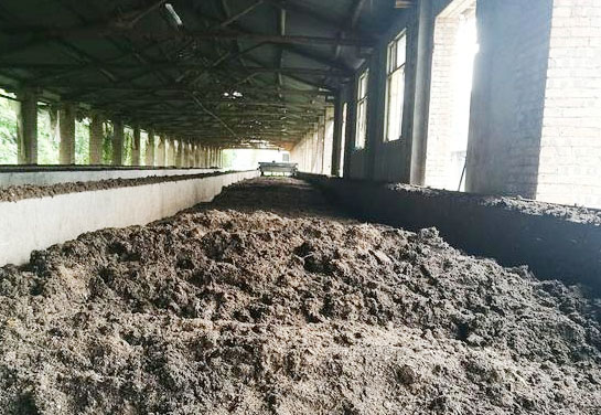 發(fā)酵豬糞做肥料的方法