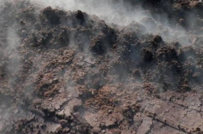 發酵豬糞做飼料的詳細方法