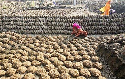 牛糞通過發酵制作的有機肥詳細步驟