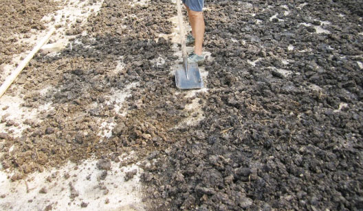 發酵雞糞制作有機肥詳細步驟與注意事項