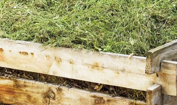 自制堆肥發(fā)酵中有哪些常見錯(cuò)誤