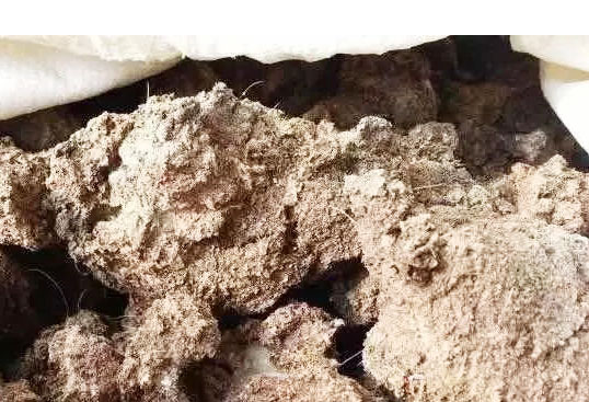 發酵處理后的豬糞有哪些用途？