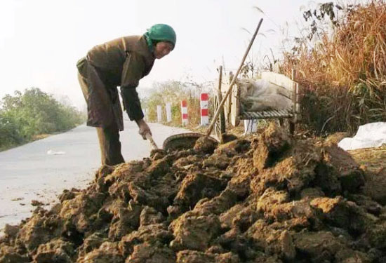 如何使用羊糞發酵制作有機肥料