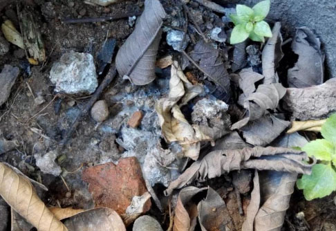 購買的成袋有機肥發霉了還能用嗎？