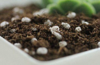 去年買的生物有機(jī)肥“長毛”是過期變質(zhì)了嗎？