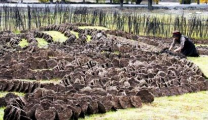 牛糞如何發酵腐熟？