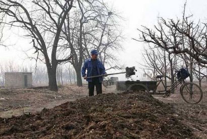 牛糞發酵有機肥的制作方法
