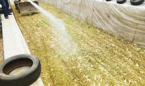 牛糞發酵的幾種方法和用途