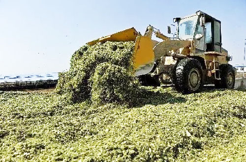 秸稈肥料的發(fā)酵處理操作技術