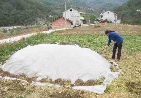 傳統牛糞發酵方法