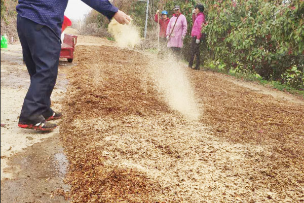 牛糞發(fā)酵劑在牛糞發(fā)酵過程中的作用