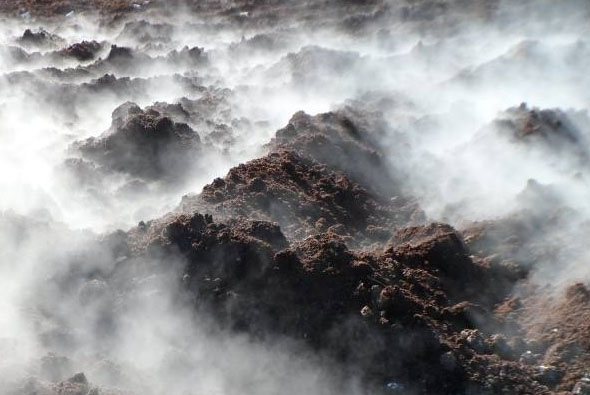 牛糞堆肥發酵方法與注意事項