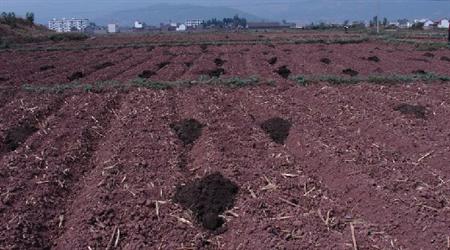 豬糞發(fā)酵有機(jī)肥處理方法