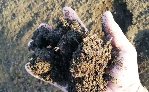 豬糞發(fā)酵有機(jī)肥過(guò)程中水分調(diào)節(jié)