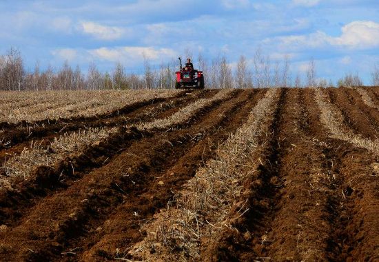 小型豬場豬糞怎么處理好？