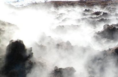 如何發酵豬糞做有機肥