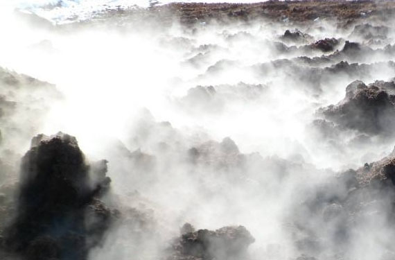 如何發(fā)酵豬糞做有機(jī)肥