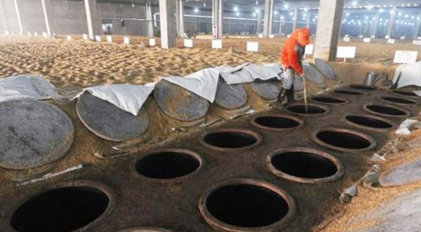 豬糞有機(jī)肥用哪種發(fā)酵方法好