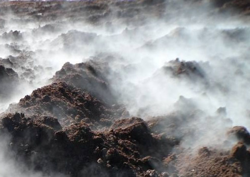 好氧發酵豬糞有機肥需要多少錢一噸？