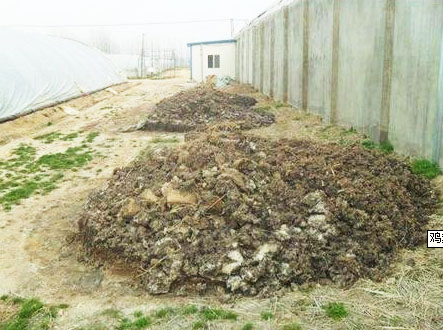 幾種常用的雞糞發(fā)酵有機肥方法