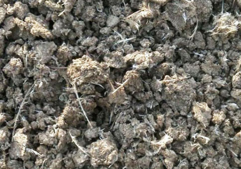 雞糞如何快速發酵腐熟做有機肥料