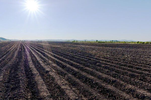 發(fā)酵一噸雞糞需要多少雞糞發(fā)酵劑？