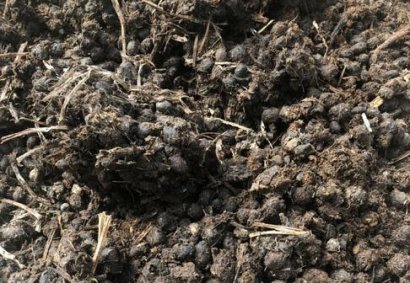 羊糞發(fā)酵制作有機(jī)肥需要多長時間？