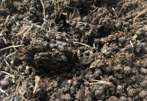 羊糞發酵制作有機肥需要多長時間？