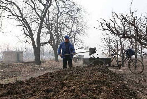 牛糞堆肥發(fā)酵該怎么進(jìn)行？