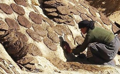 牛糞堆肥發酵該怎么進行？