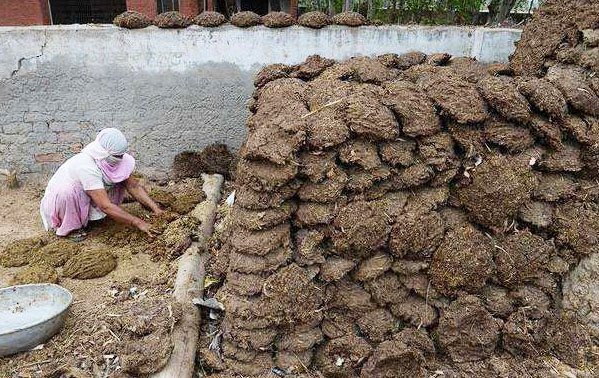 牛糞堆肥發(fā)酵該怎么進(jìn)行？