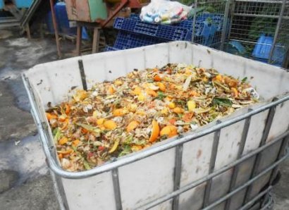 如何發酵餐廚廢棄物用作飼料喂豬