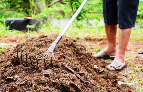 干雞糞多少錢一噸，發酵后的雞糞有機肥有哪些優點？
