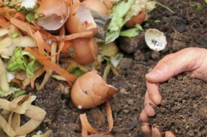 養花人發酵做有機肥的方法有哪些？