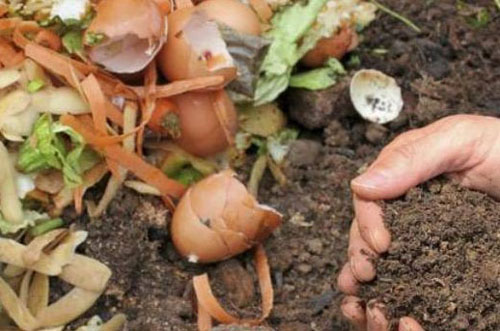 養花人發酵做有機肥的方法有哪些？